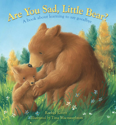 Cover image for Are You Sad, Little Bear?, isbn: 9780745978932