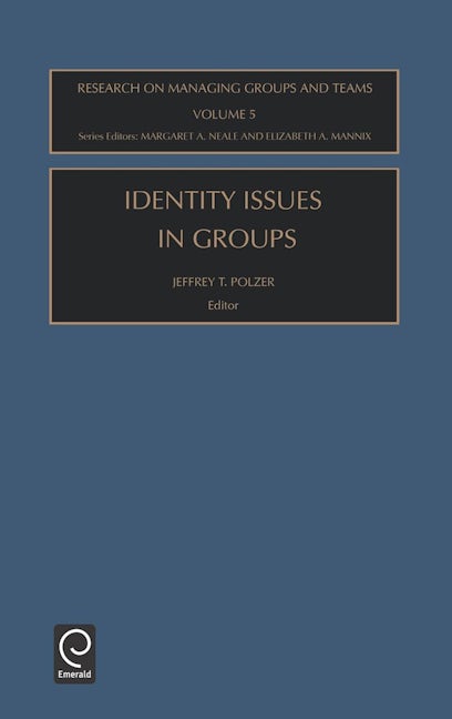 Book cover image for Identity Issues in Groups ISBN: 9780762309511