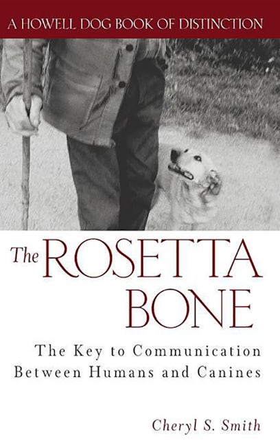 Book cover image for The Rosetta Bone ISBN: 9780764544217