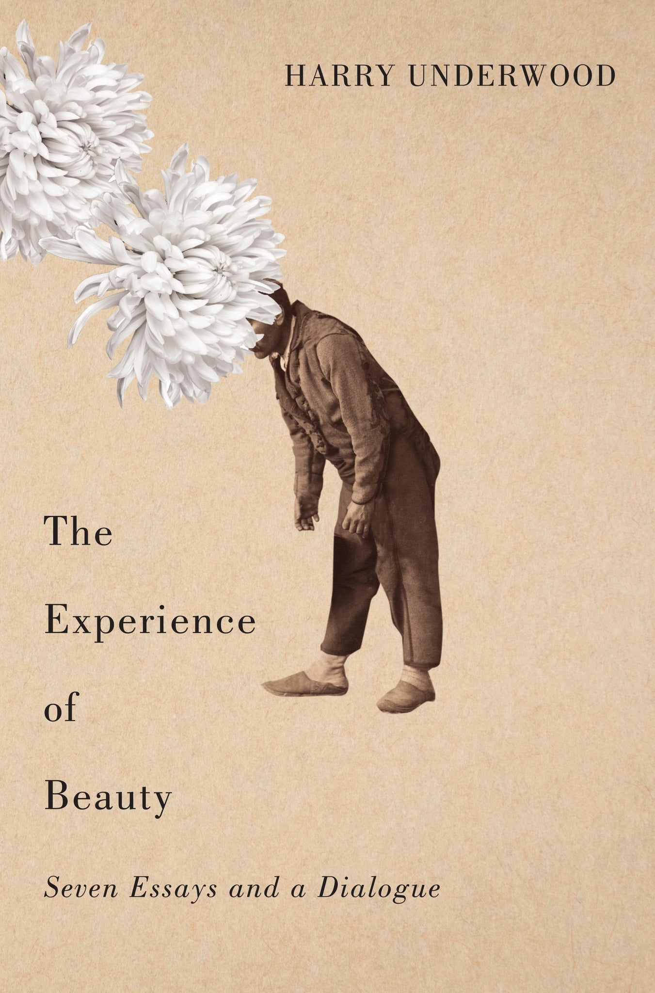 Cover image for The Experience of Beauty ISBN 9780773599833