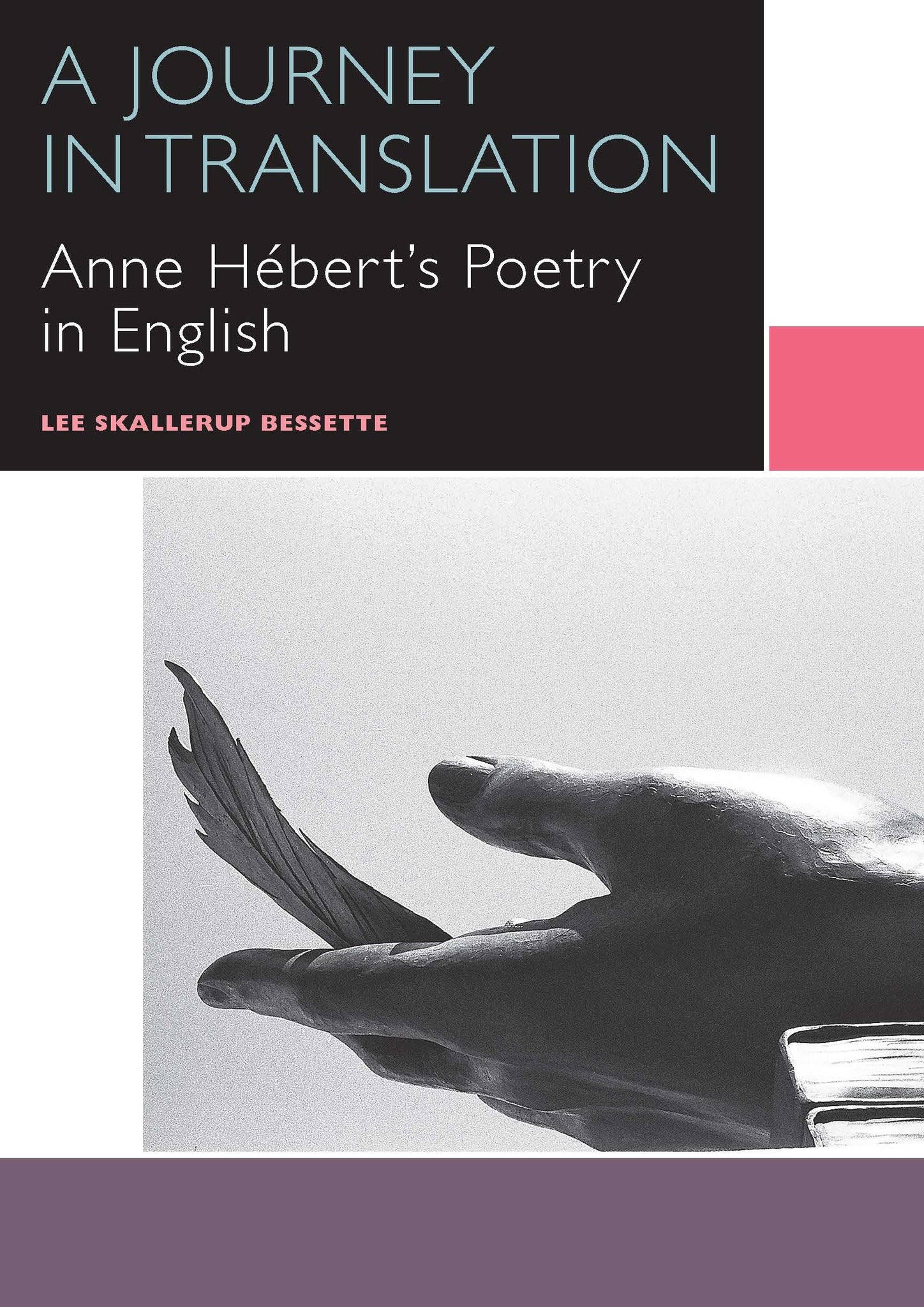 Cover image for A Journey in Translation ISBN 9780776623764