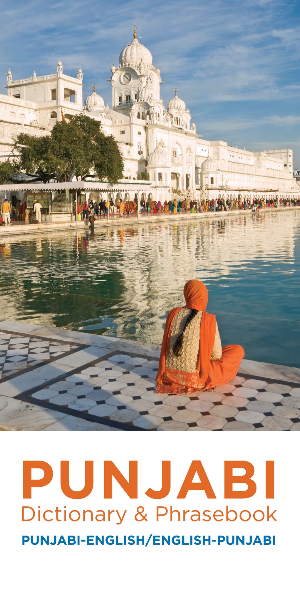 Cover image for Punjabi-English/English-Punjabi Dictionary & Phrasebook ISBN 9780781813006