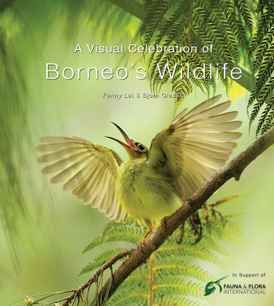 Cover image for A Visual Celebration of Borneo's Wildlife, isbn: 9780794607876