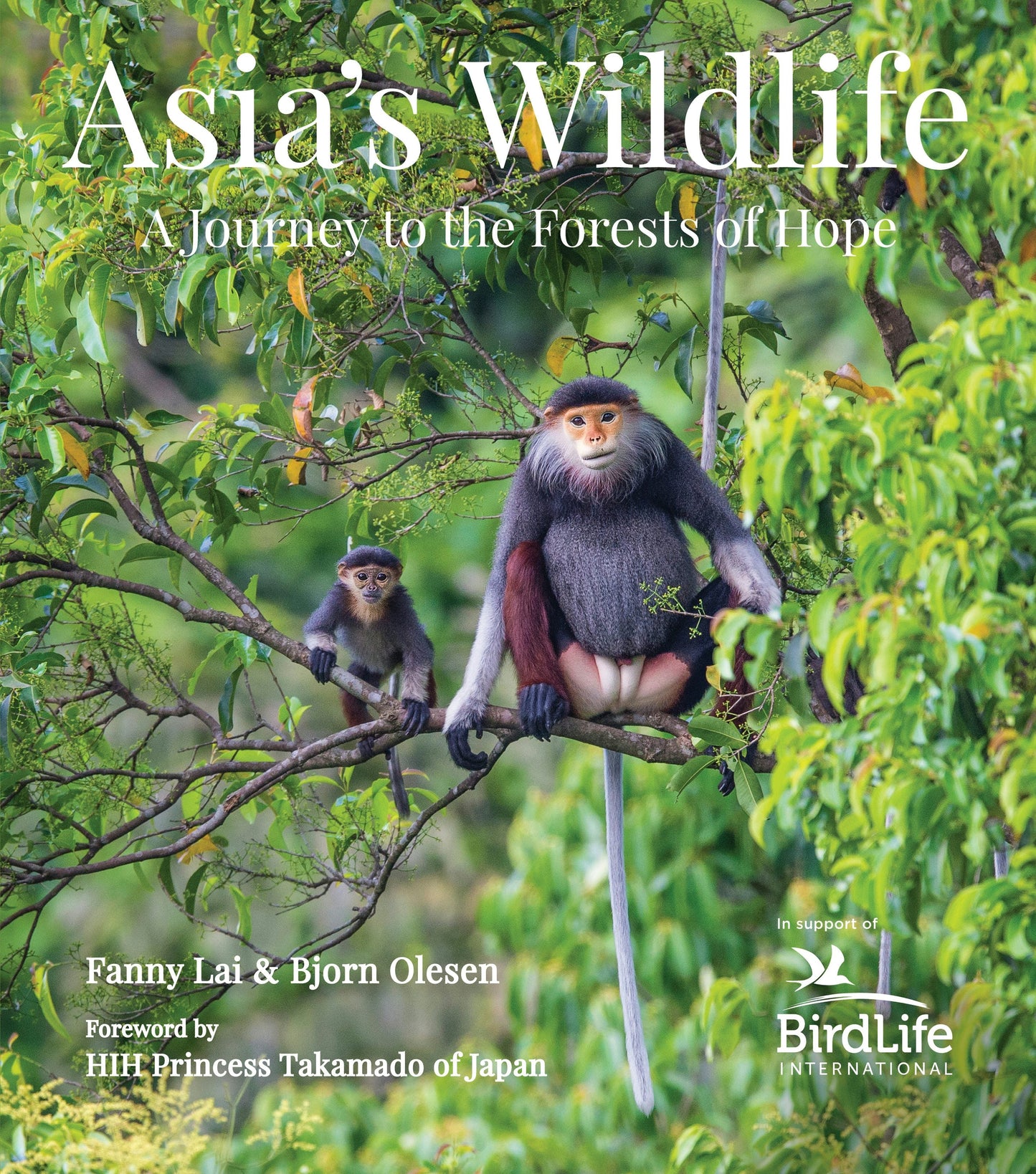 Book cover image for Asia's Wildlife ISBN: 9780794608255