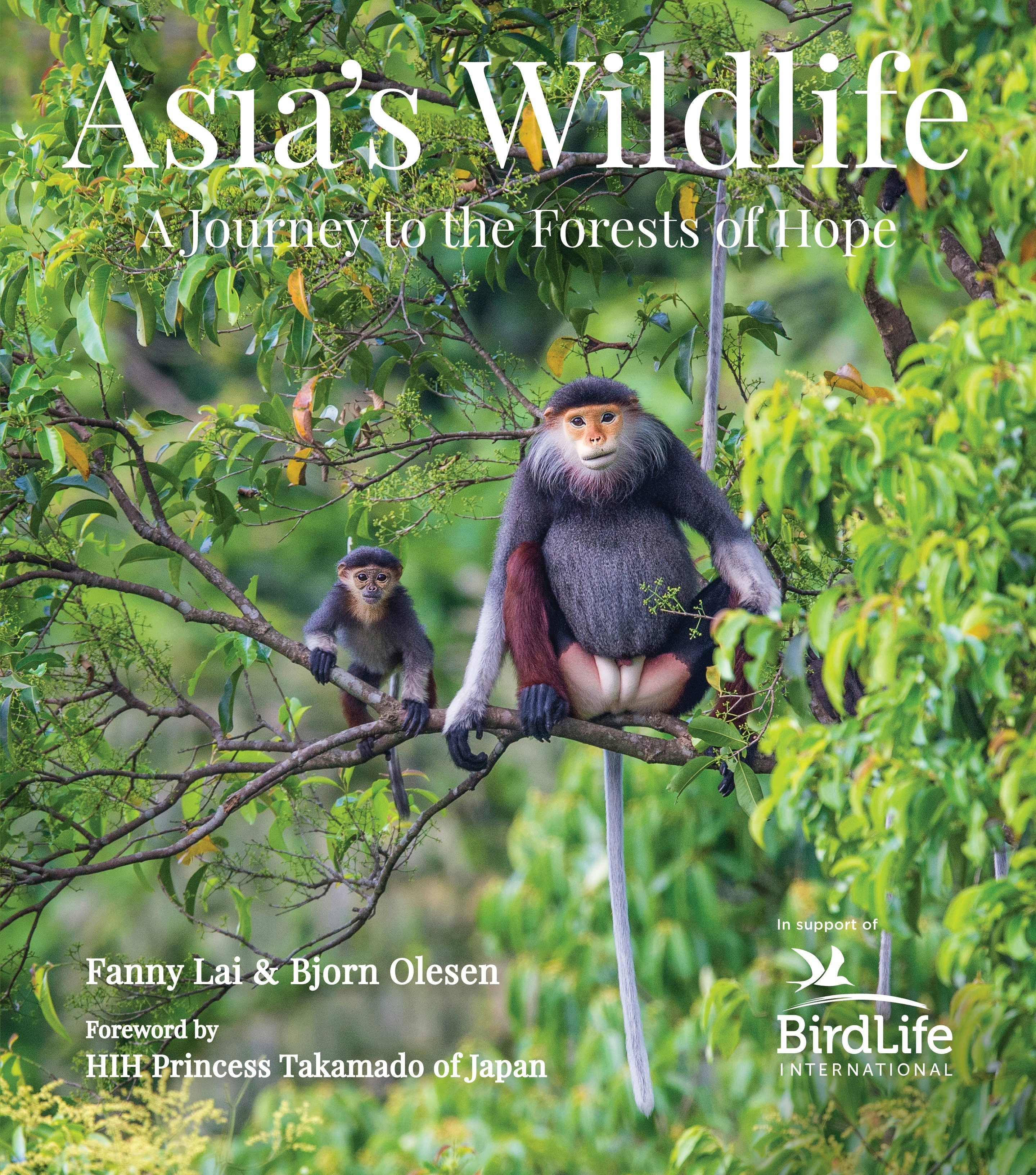 Book cover image for Asia's Wildlife ISBN: 9780794608255