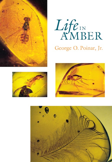 Book cover image for Life in Amber ISBN: 9780804720014