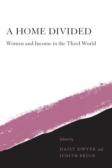 Book cover image for A Home Divided ISBN: 9780804722131