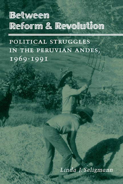 Book cover image for Between Reform and Revolution ISBN: 9780804724425