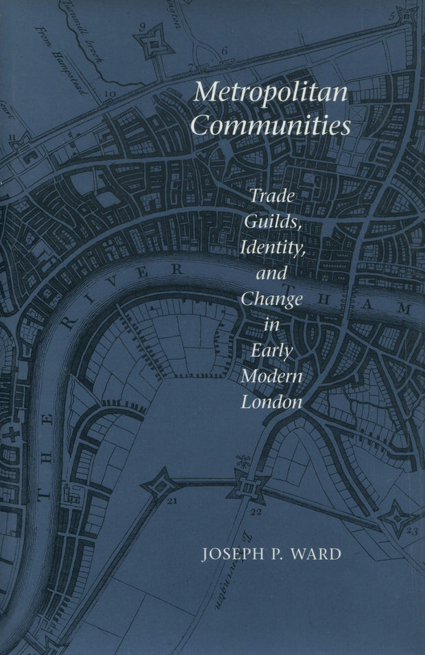 Cover image for Metropolitan Communities, isbn: 9780804729178