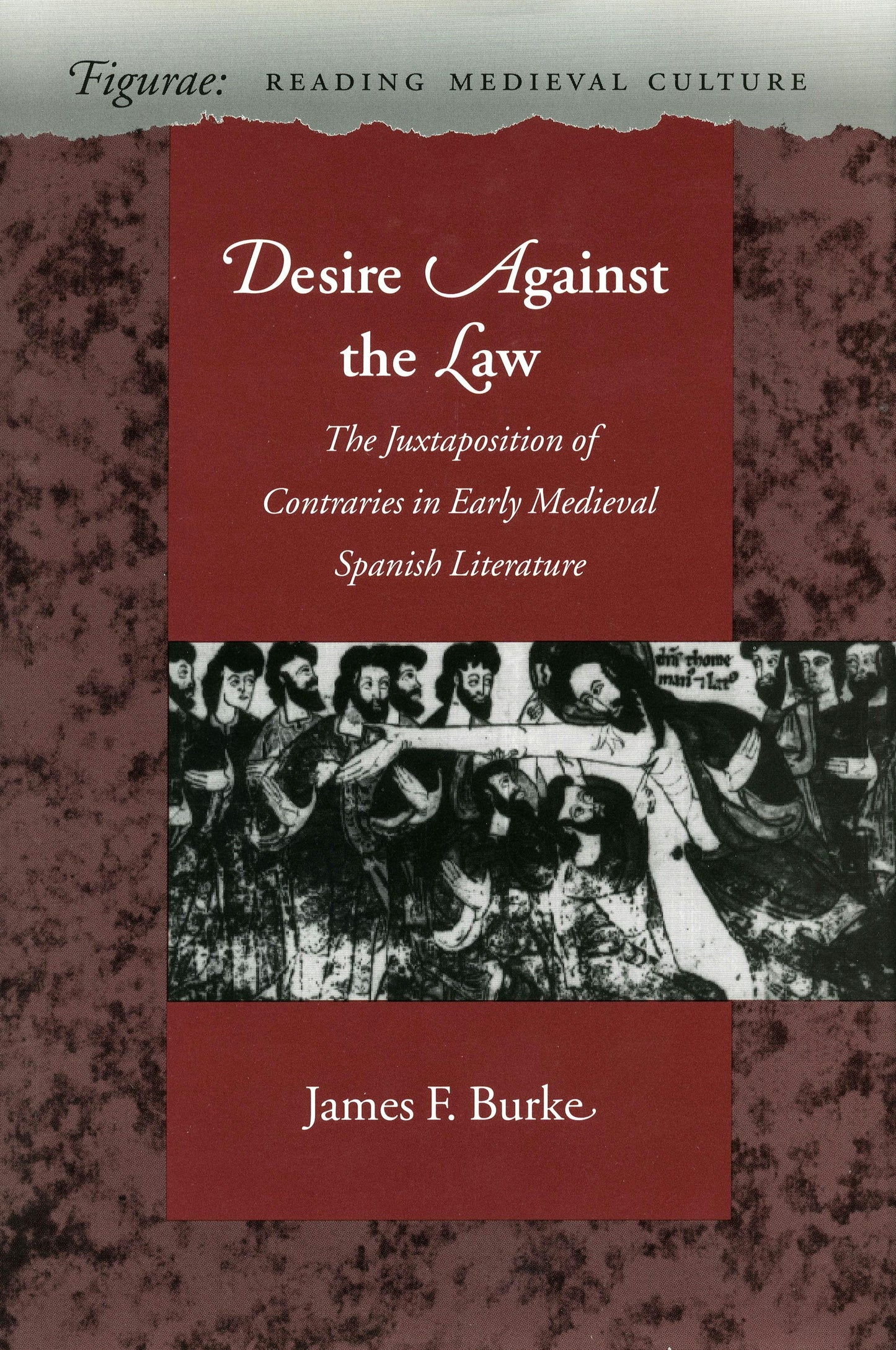 Book cover image for Desire Against the Law ISBN: 9780804729369