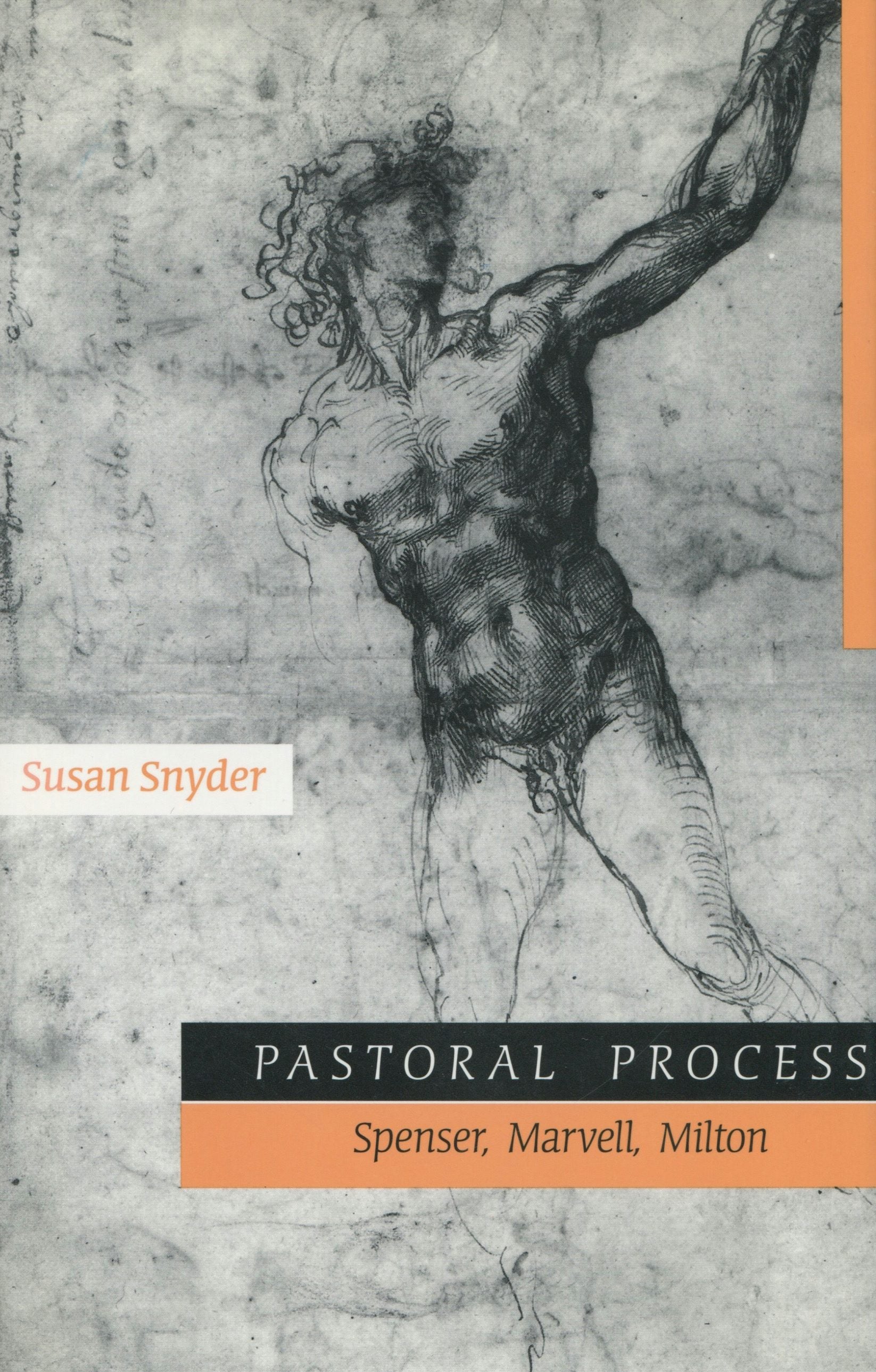 Book cover image for Pastoral Process ISBN: 9780804731065