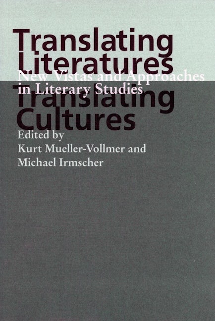 Book cover image for Translating Literatures, Translating Cultures ISBN: 9780804735445