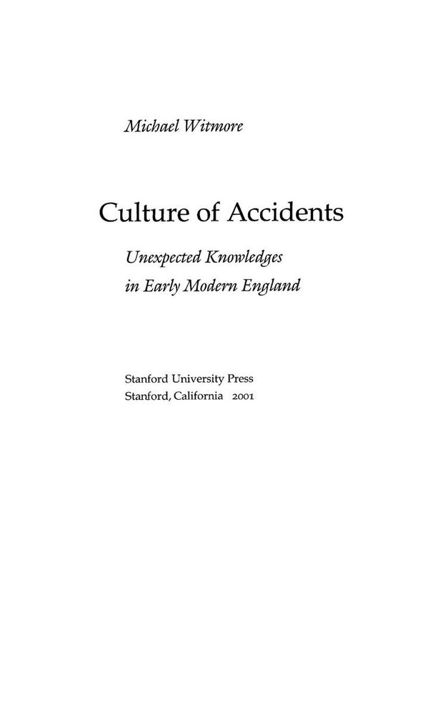 Cover image for Culture of Accidents, isbn: 9780804735568