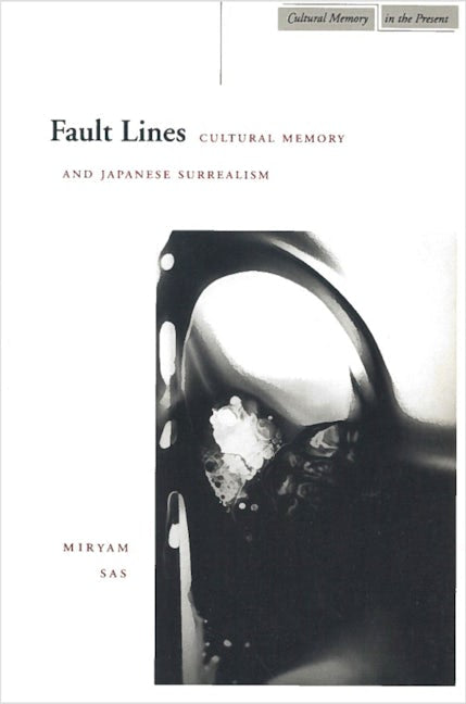 Book cover image for Fault Lines ISBN: 9780804736497