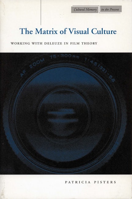 Book cover image for The Matrix of Visual Culture ISBN: 9780804740272