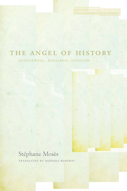 Book cover image for The Angel of History ISBN: 9780804741163