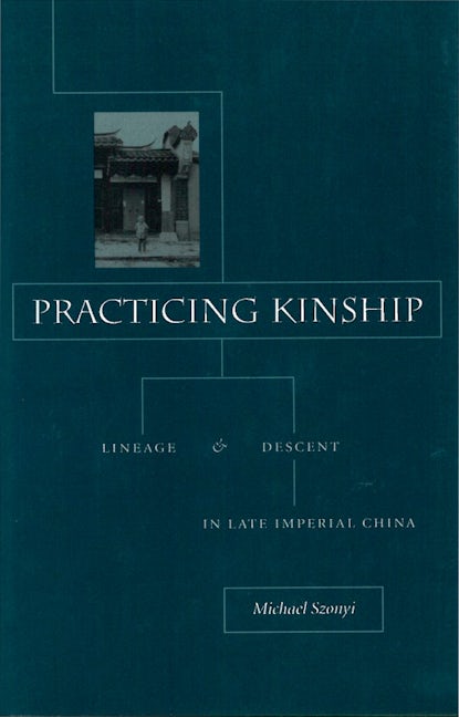 Book cover image for Practicing Kinship ISBN: 9780804742610