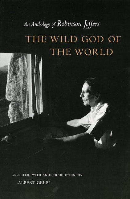 Book cover image for The Wild God of the World ISBN: 9780804745925