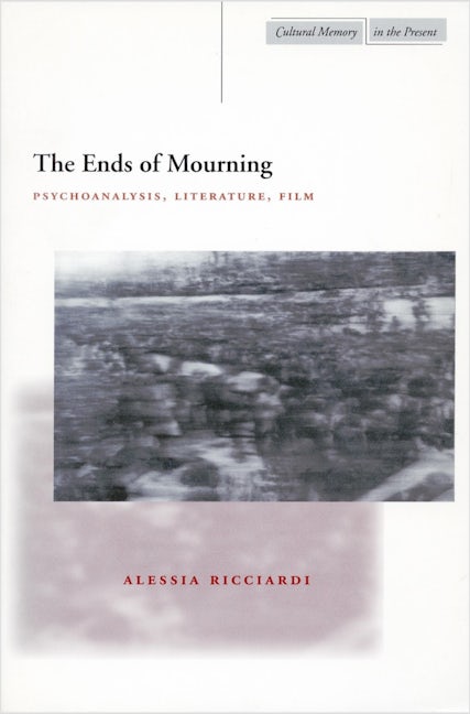 Book cover image for The Ends of Mourning ISBN: 9780804747776