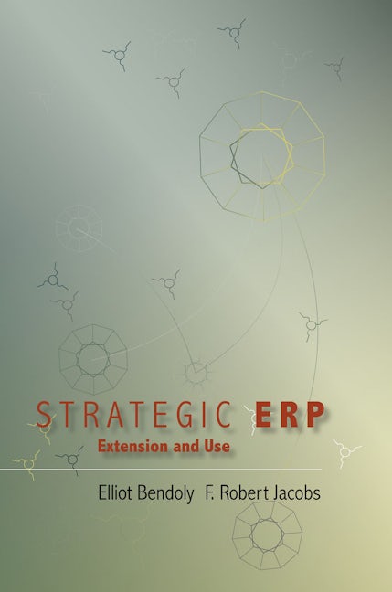 Strategic ERP Extension and Use