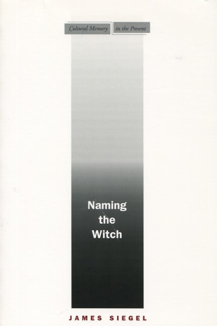 Book cover image for Naming the Witch ISBN: 9780804751940