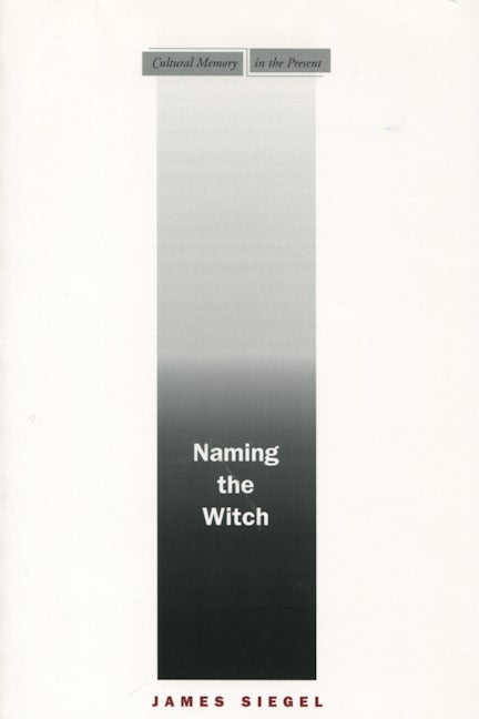 Book cover image for Naming the Witch ISBN: 9780804751957