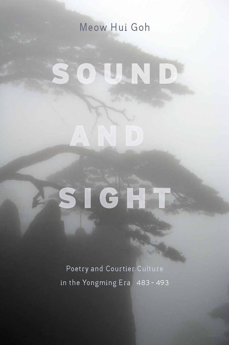 Book cover image for Sound and Sight ISBN: 9780804768597
