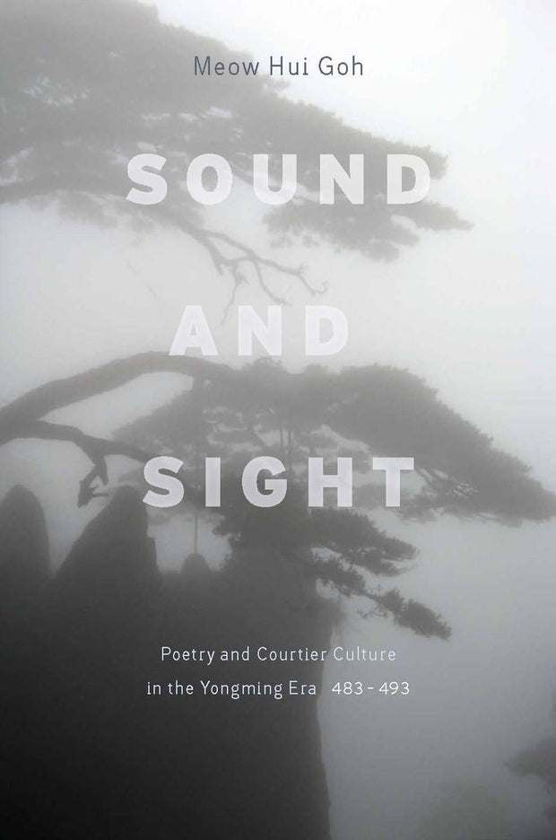 Cover image for Sound and Sight, isbn: 9780804768597
