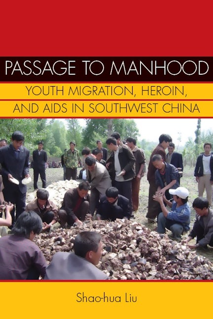 Book cover image for Passage to Manhood ISBN: 9780804770248