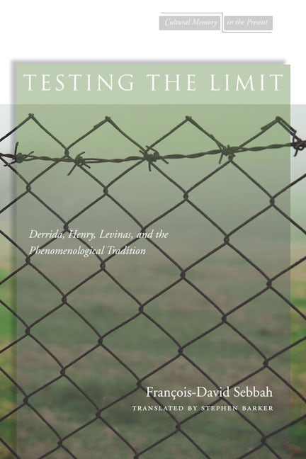 Book cover image for Testing the Limit ISBN: 9780804772754