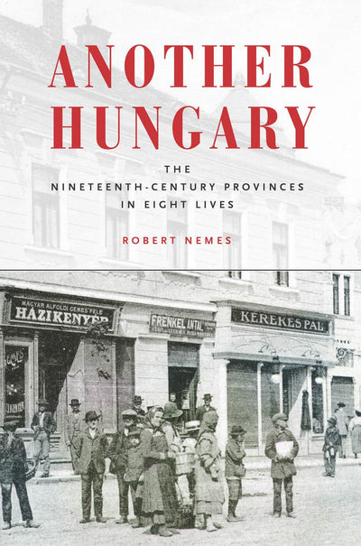 Cover image for Another Hungary, isbn: 9780804795913