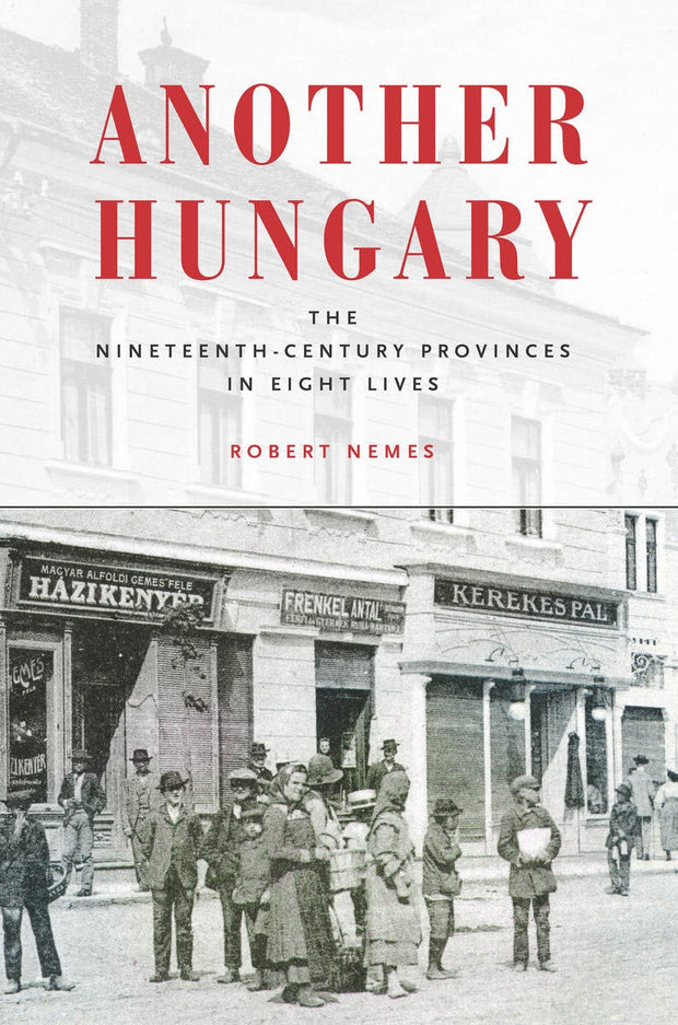 Cover image for Another Hungary, isbn: 9780804795913