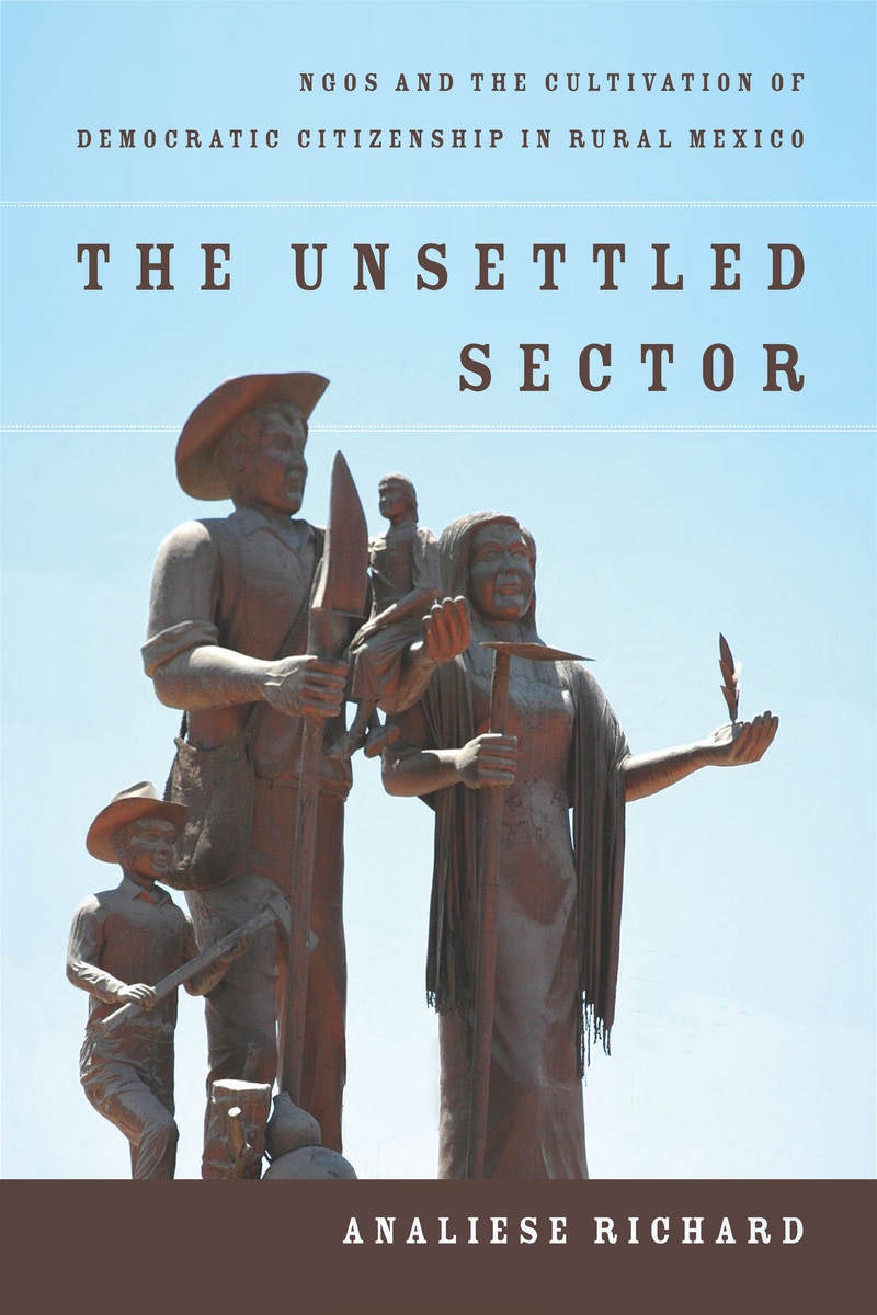 Book cover image for The Unsettled Sector ISBN: 9780804799164