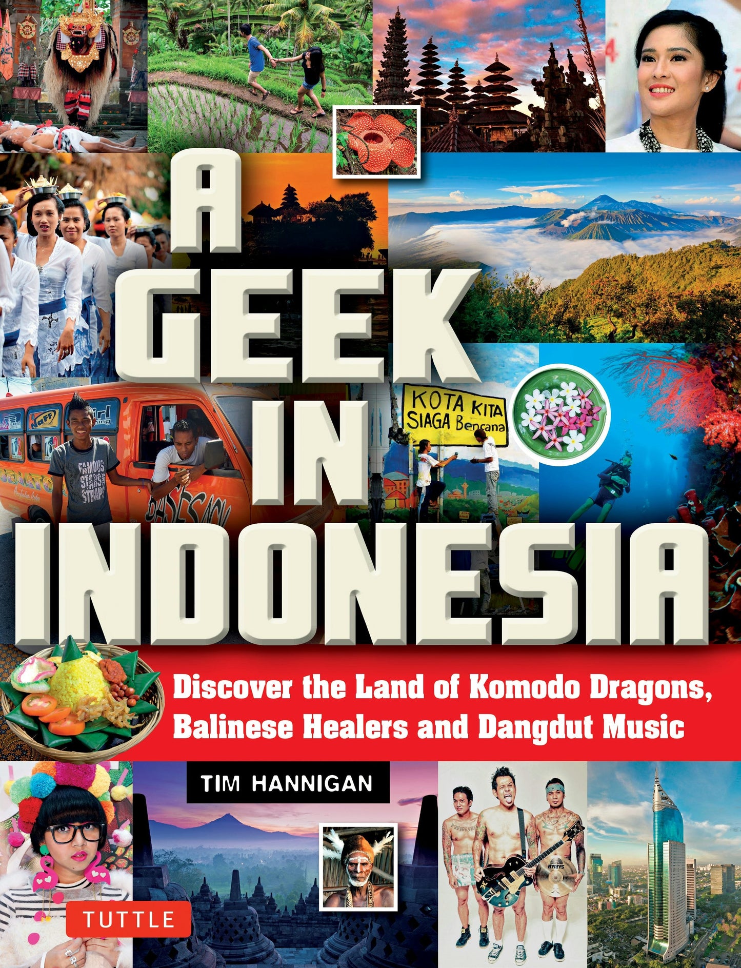 Book cover image for A Geek in Indonesia ISBN: 9780804847100