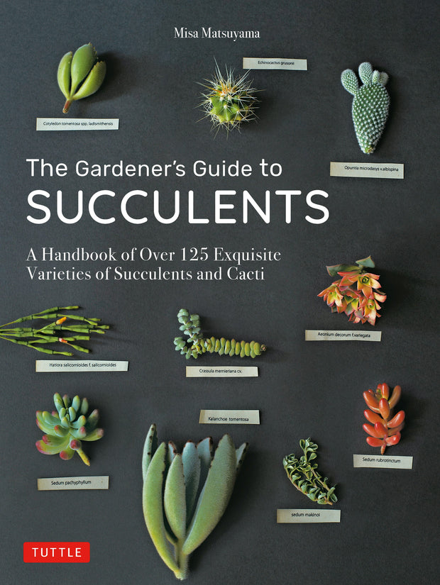 Cover image for The Gardener's Guide to Succulents, isbn: 9780804851060