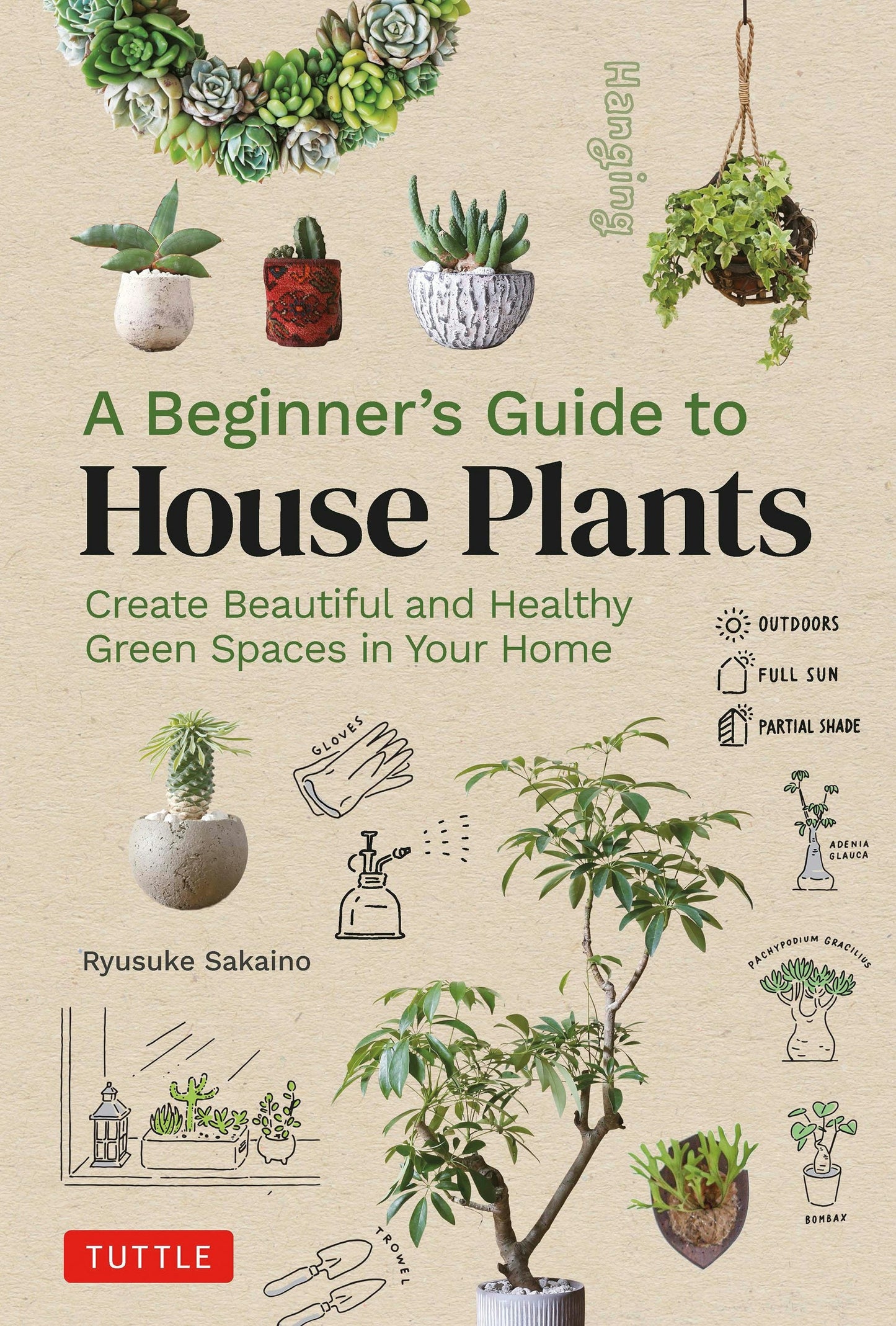 Book cover image for A Beginner's Guide to House Plants ISBN: 9780804855099