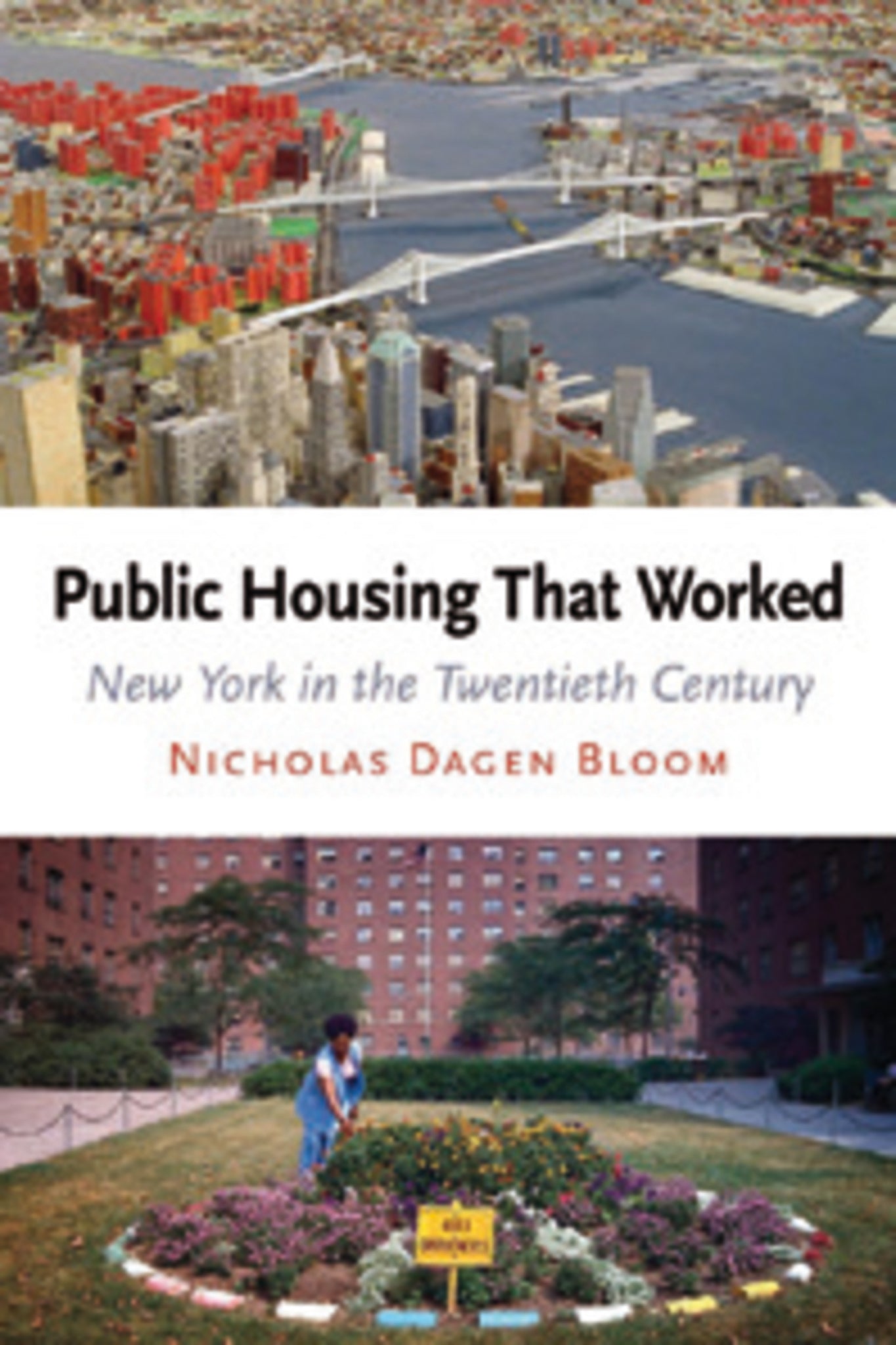 Cover image for Public Housing That Worked ISBN 9780812201321