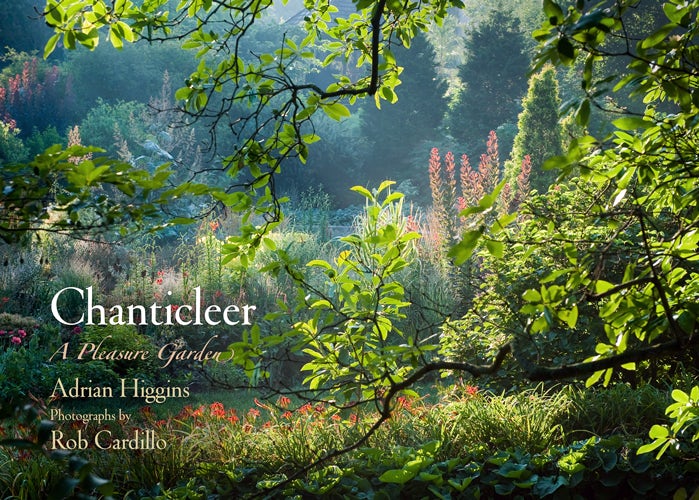 Book cover image for Chanticleer ISBN: 9780812206975