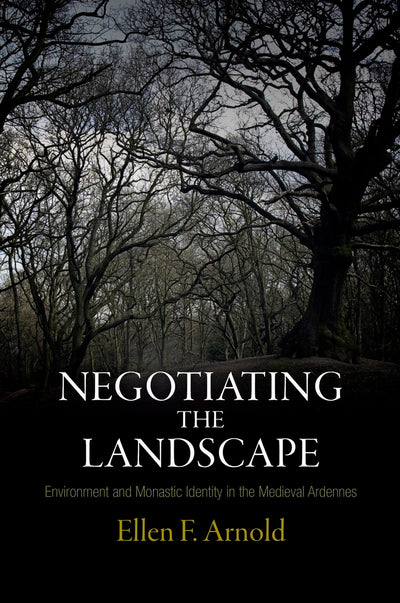 Cover image for Negotiating the Landscape, isbn: 9780812207521