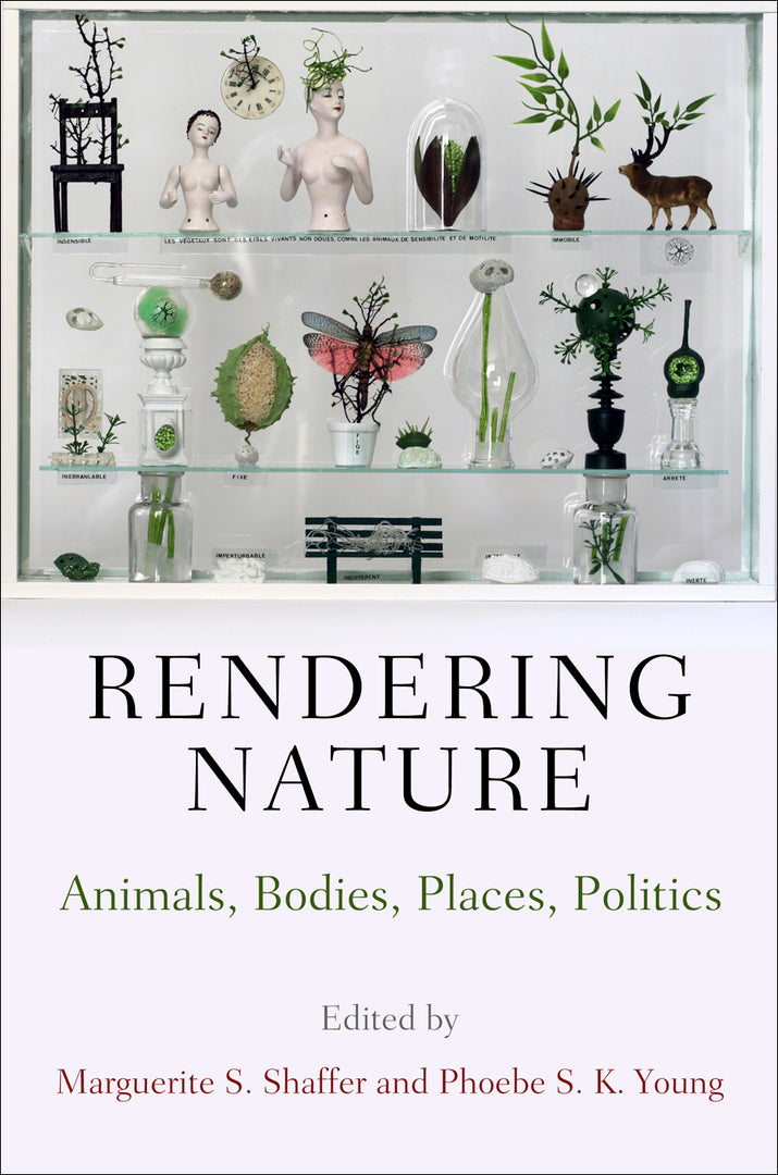 Cover image for Rendering Nature ISBN 9780812247251