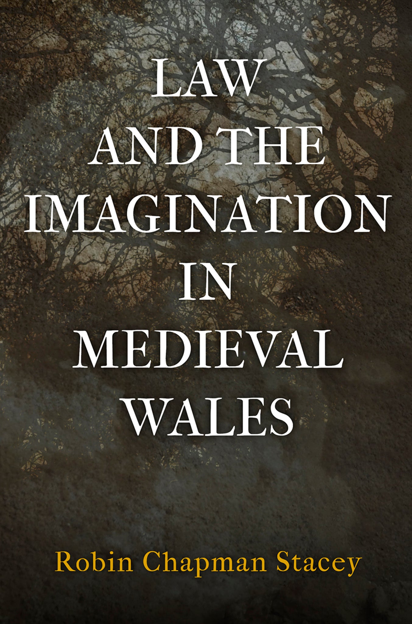 Cover image for Law and the Imagination in Medieval Wales ISBN 9780812250510