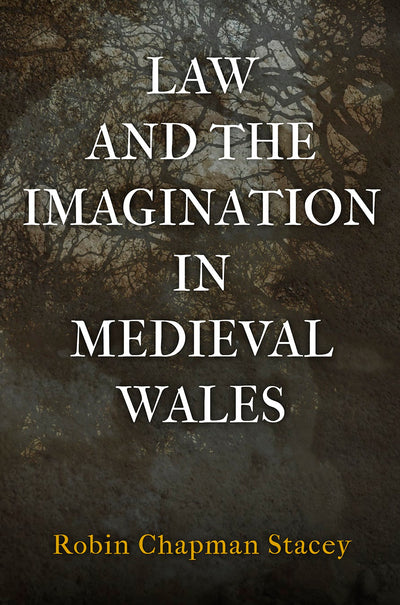 Cover image for Law and the Imagination in Medieval Wales, isbn: 9780812250510