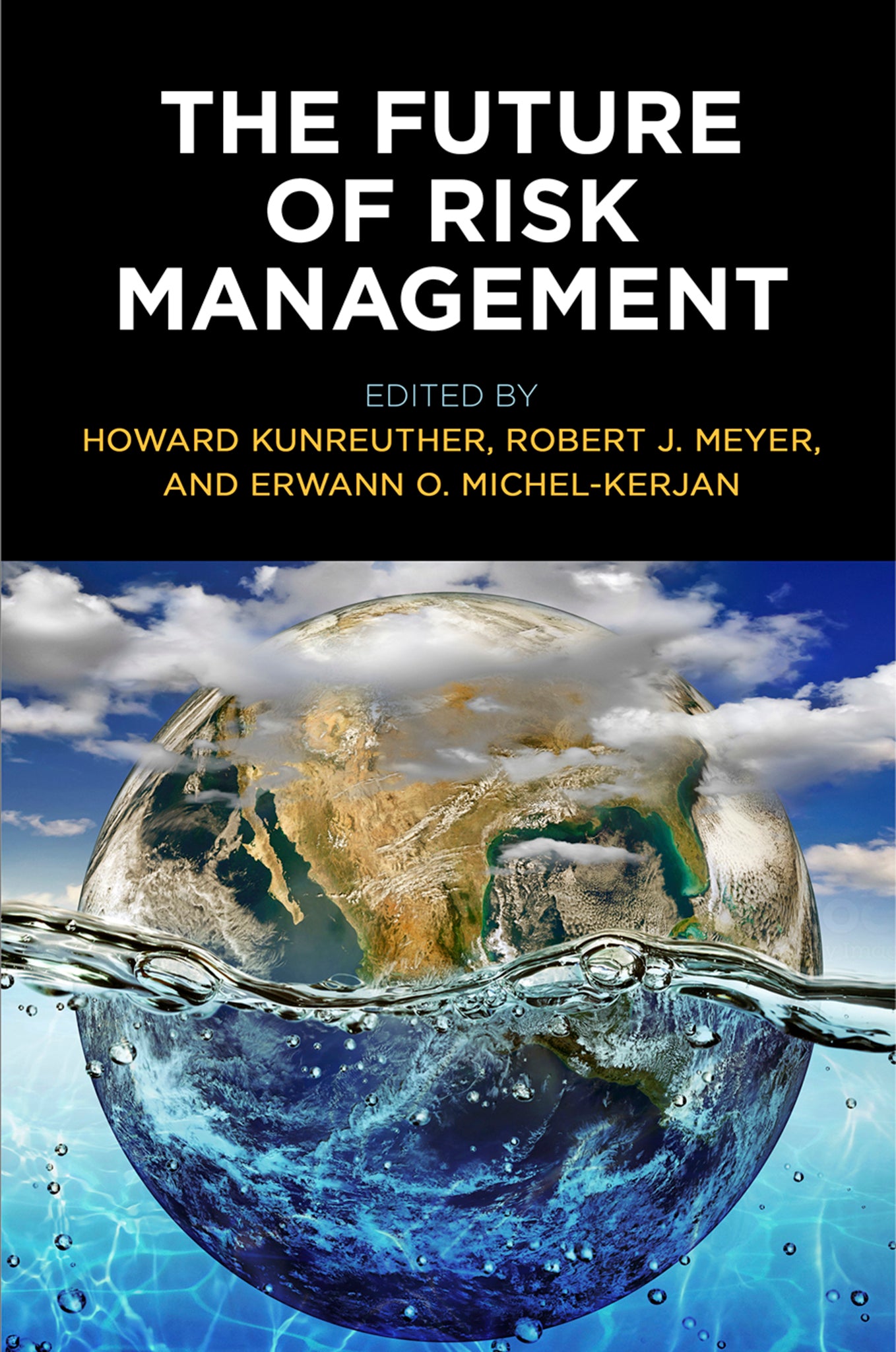 Cover image for The Future of Risk Management ISBN 9780812251326