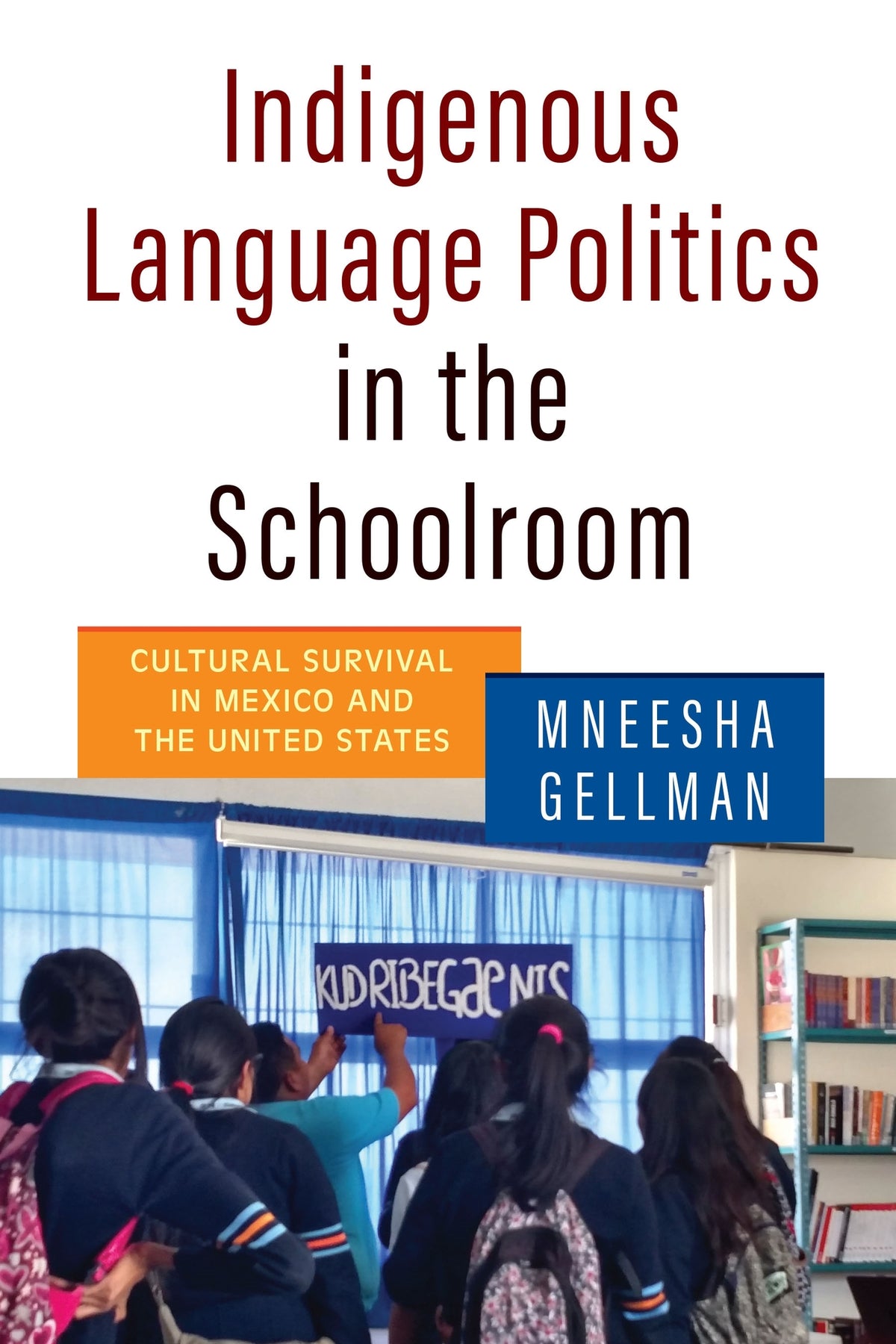 Cover image for Indigenous Language Politics in the Schoolroom ISBN 9780812298635