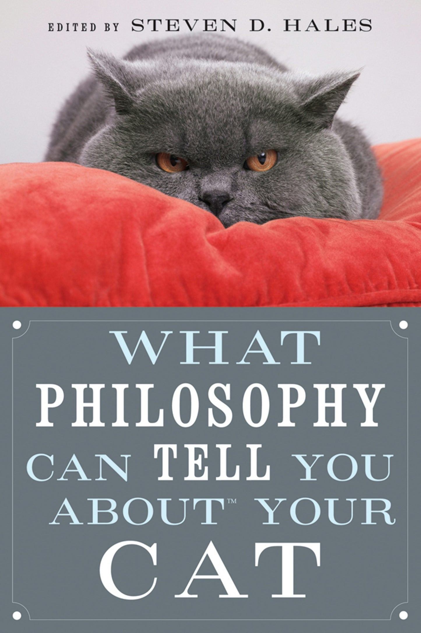 Book cover image for What Philosophy Can Tell You about Your Cat ISBN: 9780812696523