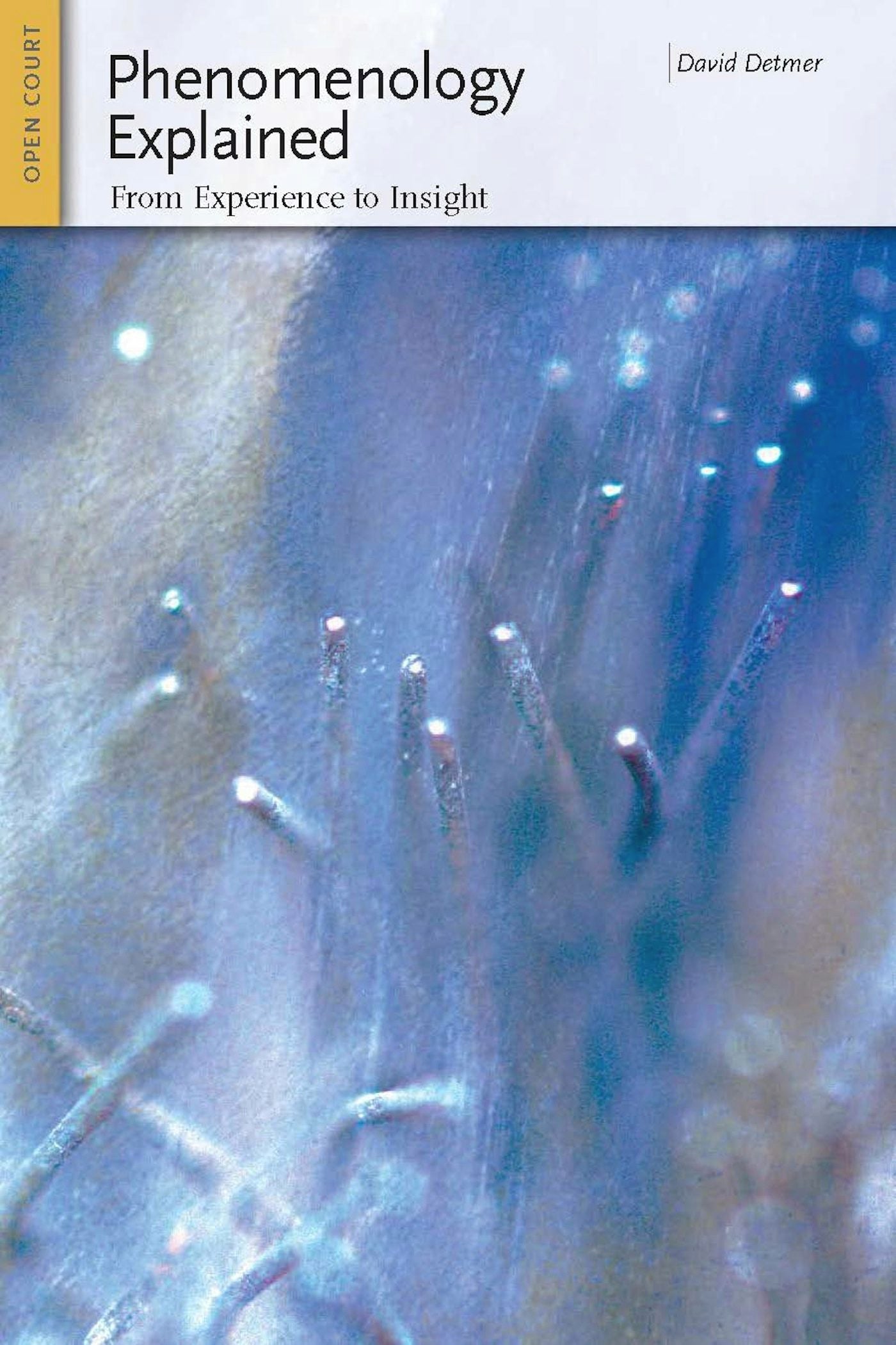 Book cover image for Phenomenology Explained ISBN: 9780812697971