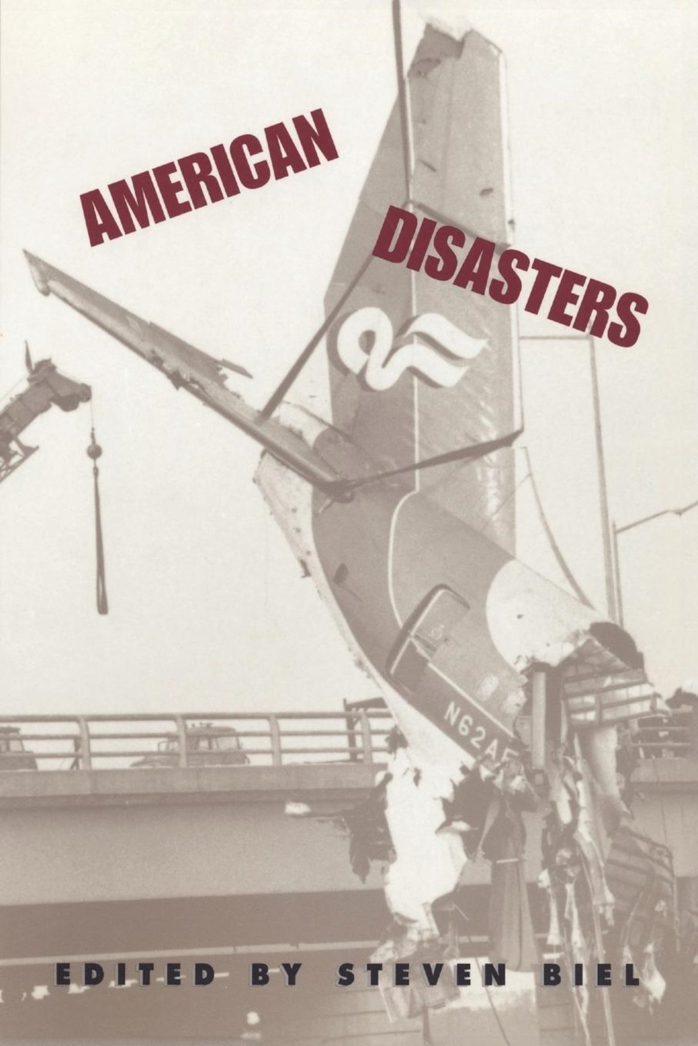 Cover image for American Disasters ISBN 9780814713464