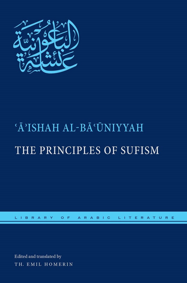 Cover image for The Principles of Sufism, isbn: 9780814729168