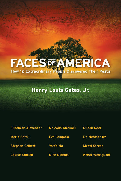 Cover image for Faces of America, isbn: 9780814732656