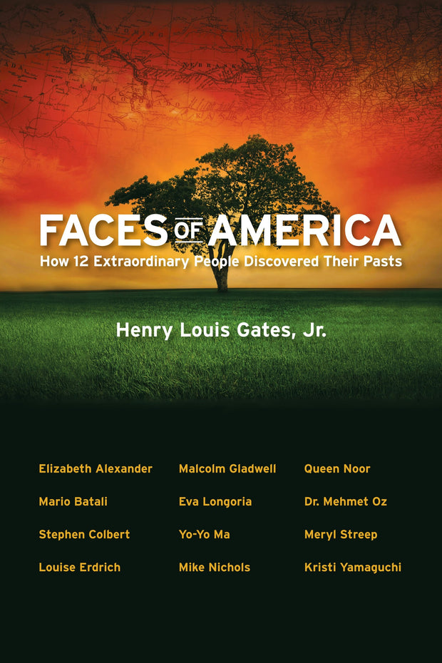 Cover image for Faces of America, isbn: 9780814732656
